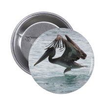 Pelican Landing Button