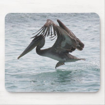 Pelican Landing Mouse Pad