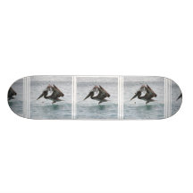 Pelican Landing Skateboard