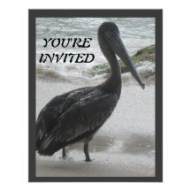 Pelican Ocean Beach Party Invitation