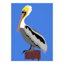 Pelican on a Piling Personalised Announcement