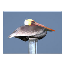 Pelican on a Stick Personalised Invitations