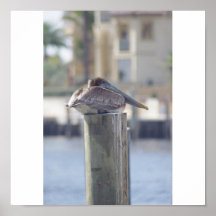 Pelican on post print