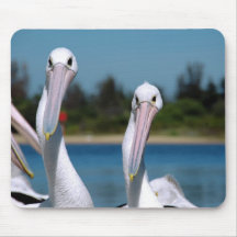 Pelican Pair Mouse Mat