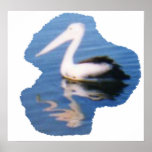 Pelican Posters