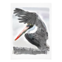 Pelican Salute Personalised Invitations