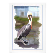 Pelican Sentry Announcements