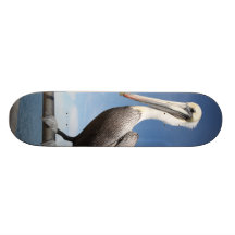 Pelican Skate Boards