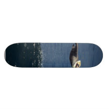 Pelican Skate Deck
