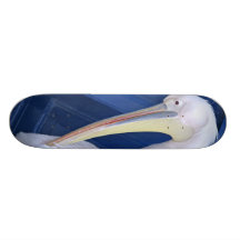 Pelican Skateboard