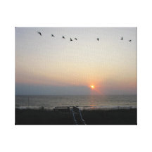 pelicans at sunrise in Outer Banks Canvas Print