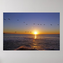 Pelicans at Sunrise Santa Cruz Print
