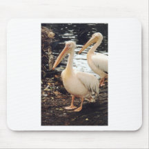 Pelicans Mousepad