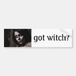 Pelosi- got witch? bumper stickers