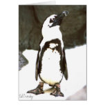 Penguin Card