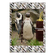 Penguin Concert, Winds and Piano Greeting Cards