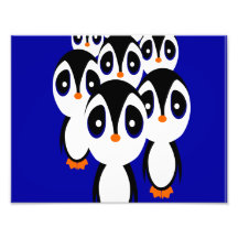 Penguin Family Photo
