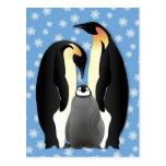 penguin family postcard