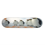 Penguin Fun In The Sun Skateboard Decks