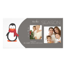 Penguin GrayHoliday Photo Card
