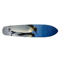 Penguin Skateboard