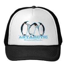 Penguin Swimming Mesh Hats