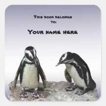Penguins Bookplate Square Stickers