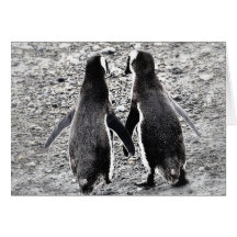 Penguins in Love Cards