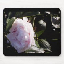 Peony with bee mouse mats