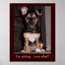 Pepper the Dog I'm Sitting Poster