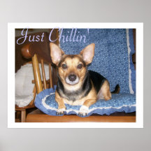 Pepper the Dog Just Chillin Poster