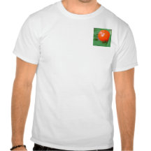 Peppers and beetle t-shirts