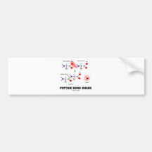 Peptide Bond Inside (Chemistry Atttude) Bumper Sticker