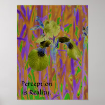 Perception is Reality Poster-Iris