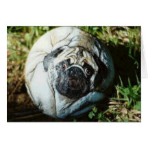 "Percy" dog rock card