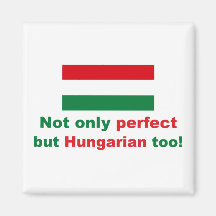 Perfect Hungarian Refrigerator Magnet