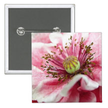 Perfect Poppy Close Up Pin