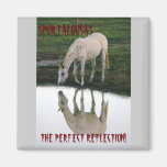Perfect Reflection.. Refrigerator Magnet