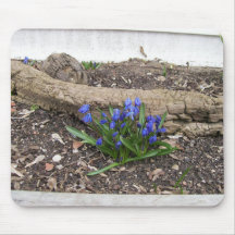 Periwinkles Mousepad