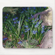 Periwinkles Mousepad