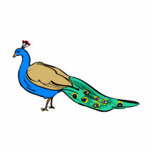 Perkins Peacock Photo Cutout