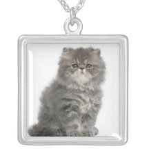 Persian Kitten (2 months old) sitting Personalised Necklace