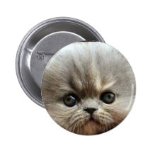 Persian kitten round button