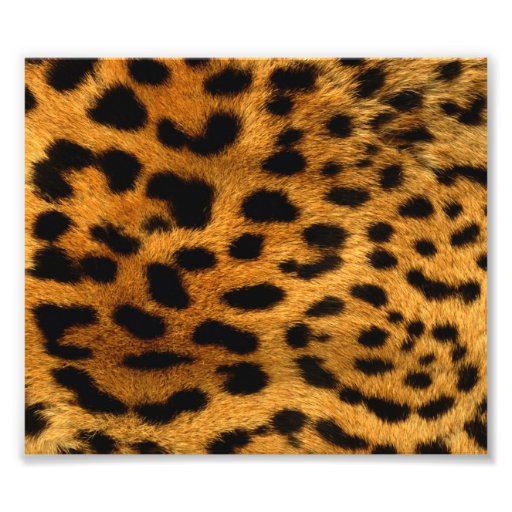 Personalised Cheetah Art Photo