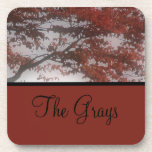 Personalised Crimson Red Fall Tree Nature Photo Coaster