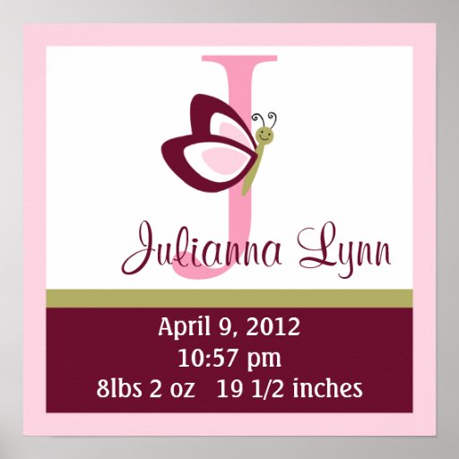 Personalised Raspberry Butterfly Birth Info Poster