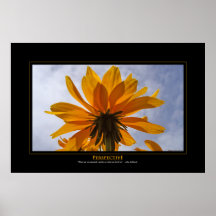Perspective Posters