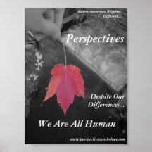 Perspectives Poster