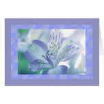Peruvian Lily, Mauves, Special Occasion Card