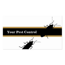 Pest Control Business Cards